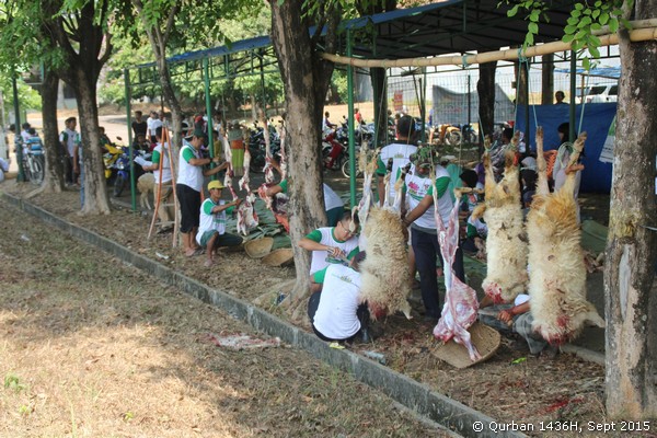 qurban