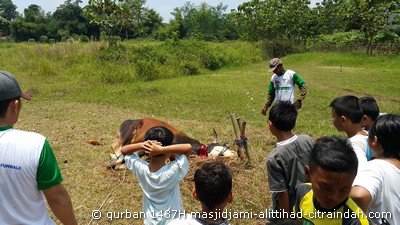 qurban 1437H citraindah city